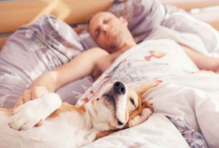 Como criar uma rotina de sono perfeita para você