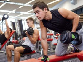 Um guia para iniciantes em terminologia de academia 27 Um guia para iniciantes em terminologia de academia